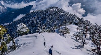Hotels in Manali